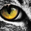VE Premium - Tiger&#39;s Blood - Vapoureyes